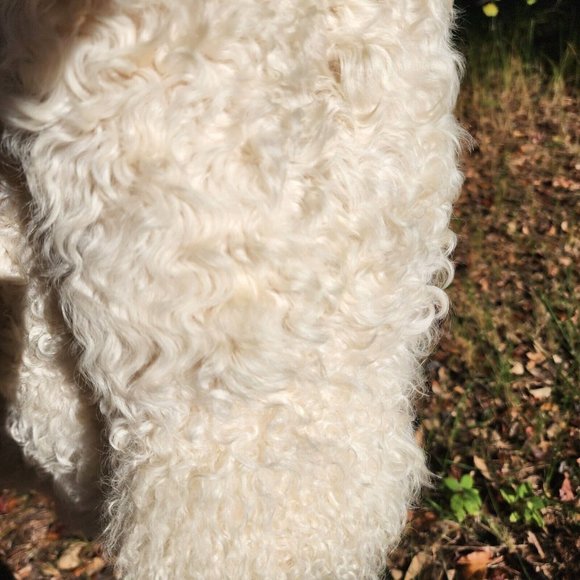 Vintage Genuine Shearling Mongolian Lamb Fur Shag Curly Ivory Long Coat 70's - Picture 7 of 16